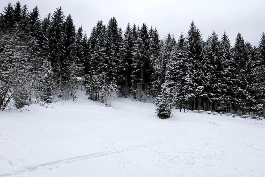 Cocon A Châtel Zewnętrze zdjęcie